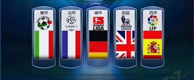 己的技能和 己的技能和